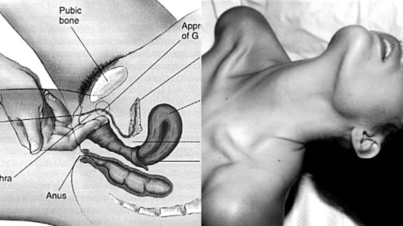 Điểm G của nữ nằm ở đâu?