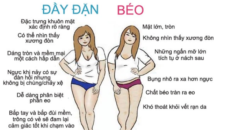 Cách phân biệt con gái đầy đặn và con gái béo