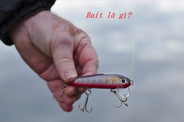 bait-la-gi Bait là gì?