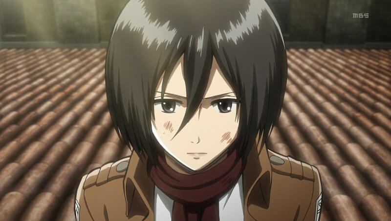 Mikasa (Tấn công Titan)