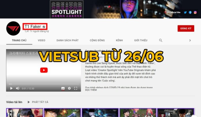 t1-6 T1