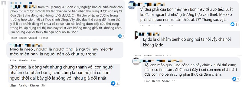 CĐM phản ứng gì về clip tiktok CSGT xử phạt hai bạn trẻ đưa mèo đi thú y