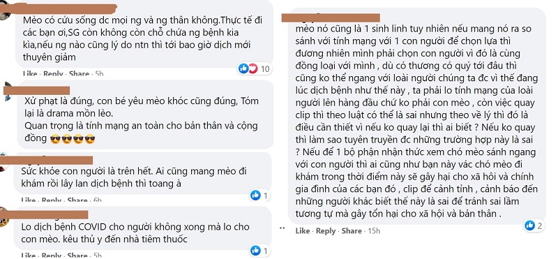 CĐM phản ứng gì về clip tiktok CSGT xử phạt hai bạn trẻ đưa mèo đi thú y