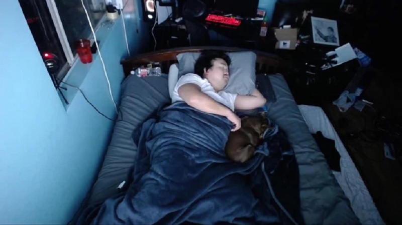Chỉ cần nhắm mắt ngủ, hot streamer cũng nhận được tiền donate