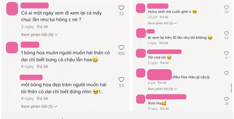 Các bình luận khen ngợi Tiểu Hý