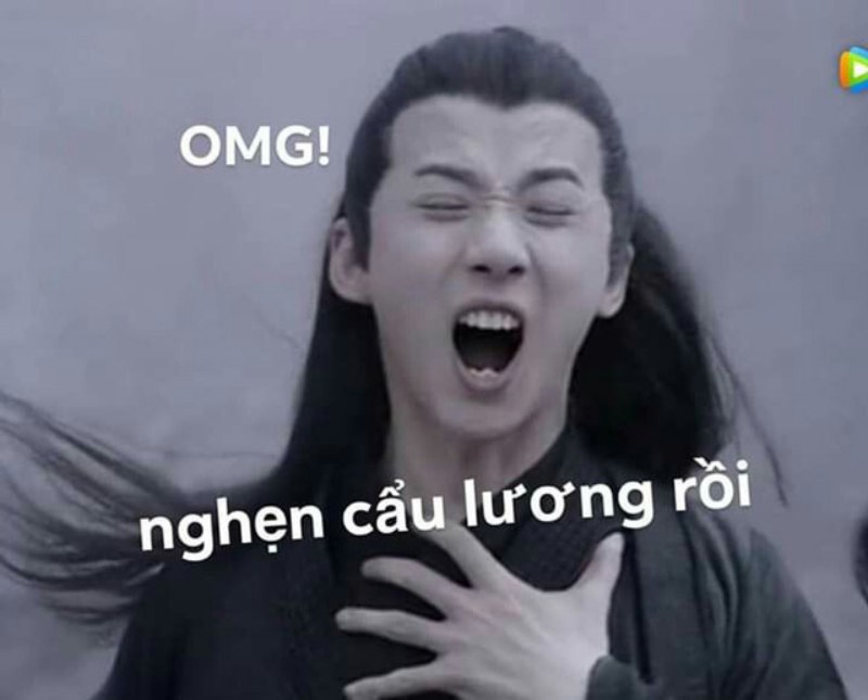 Cẩu lương meme hài hước