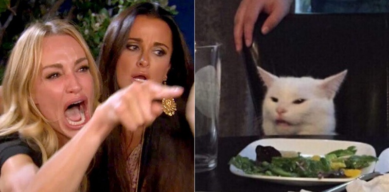 ảnh chế mèo - chị gái chỉ mặt quát mèo - woman yelling at cat meme