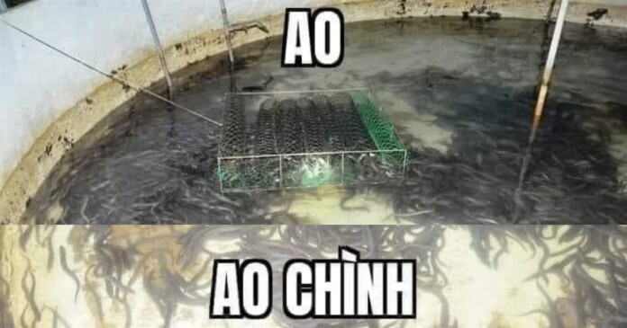 anh-meme-ao-chinh-la-gi Vì sao meme ao chình lại nổi tiếng trong làng game Việt đến vậy?