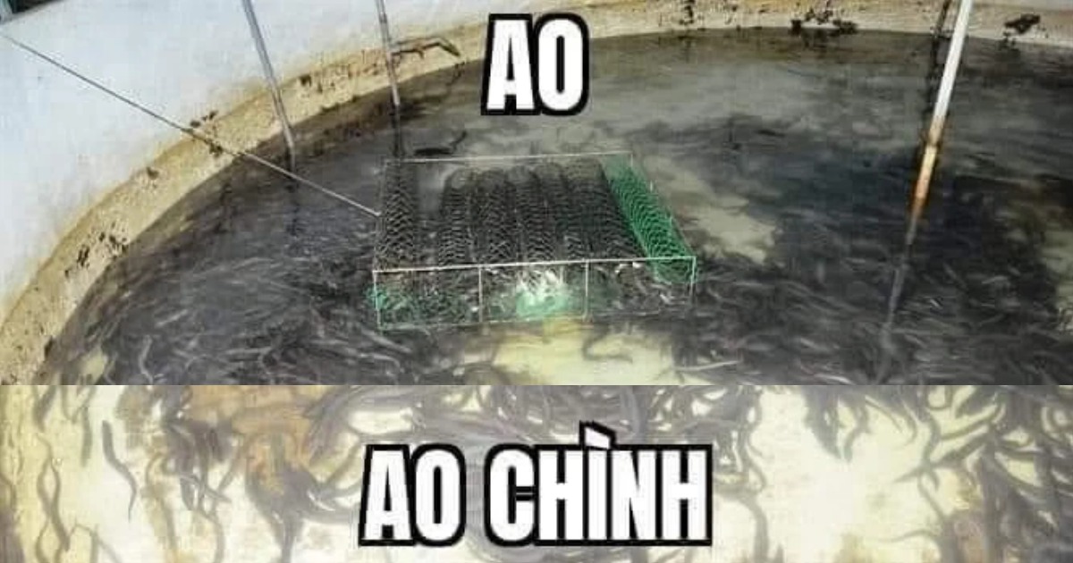 Vì sao meme ao chình lại nổi tiếng trong làng game Việt đến vậy?