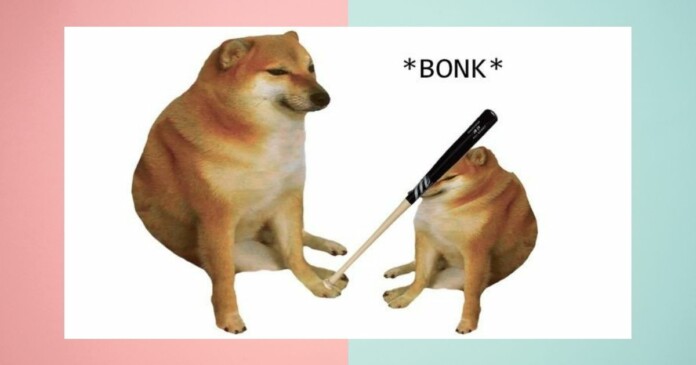 cheems-la-gi Cheems là gì? Vì sao meme này lại nổi tiếng đến như vậy? Nguồn gốc meme chó Shiba hài hước này