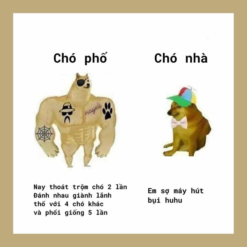 Ở Việt Nam, meme Swole Doge và Cheems được dùng để so sánh những điều hài hước trên mạng xã hội hay trong cuộc sống hàng ngày.