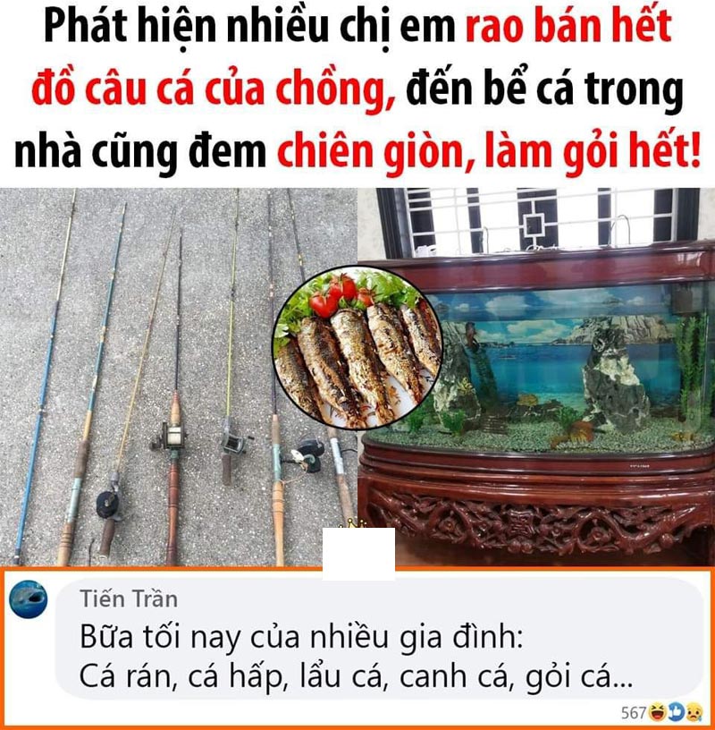 kinh doanh cá