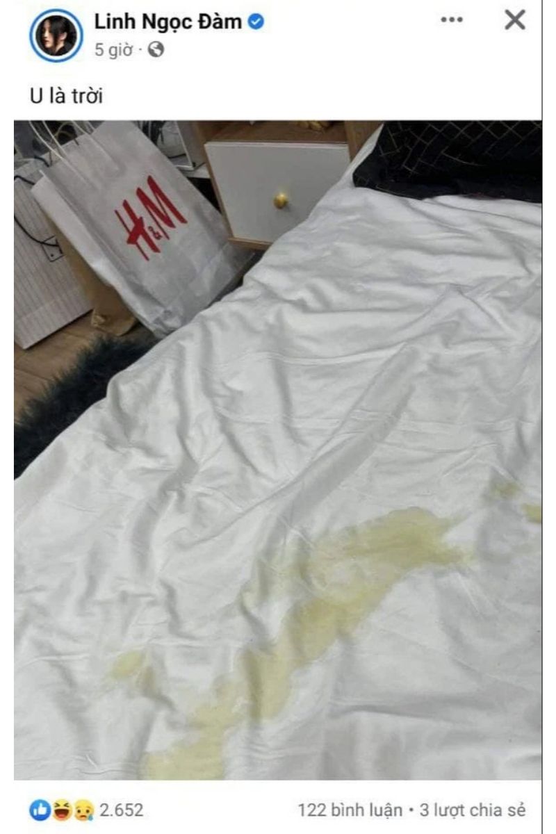 hình ảnh về chiếc túi H&M gây làn sóng ồn ào mới cho Linh Ngọc Đàm