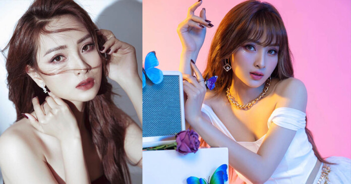 mc-mu-tat-la-ai-ma-than-thiet-voi-dat-g-den-nhu-vay-10 MC Mù Tạt là ai mà thân thiết với Đạt G đến như vậy?