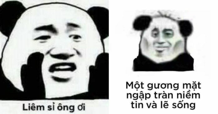 meme-gau-truc-hai-huoc-khien-cong-dong-mang-luu-gap-11 Meme gấu trúc hài hước khiến cộng đồng mạng