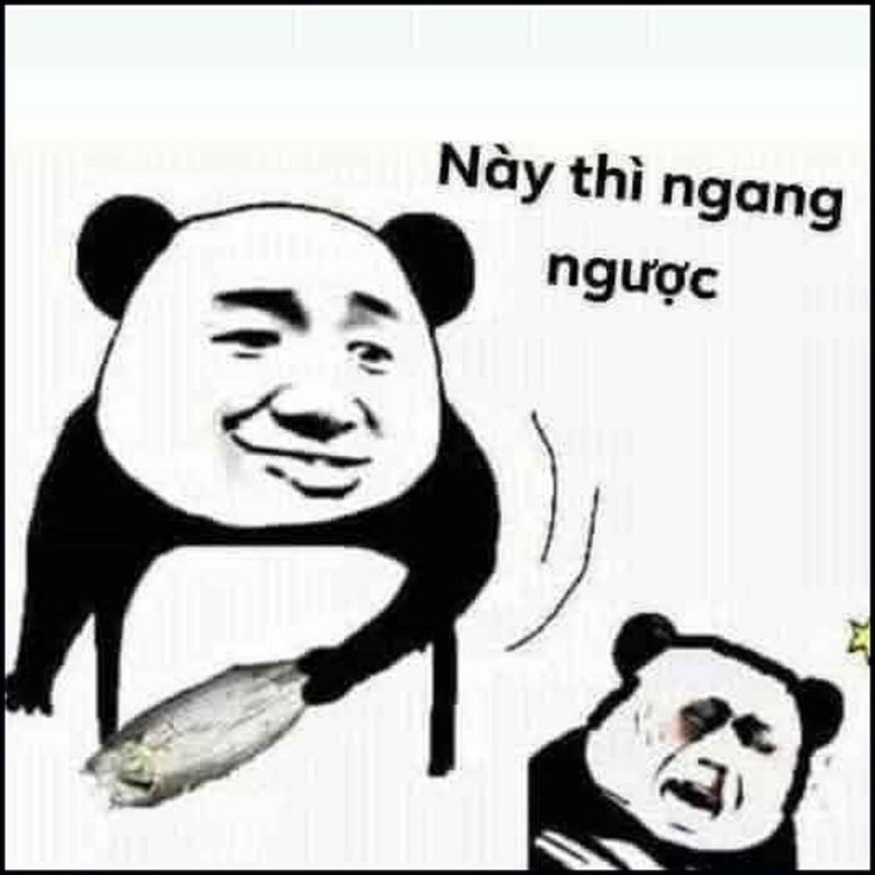 panda meme hài hước