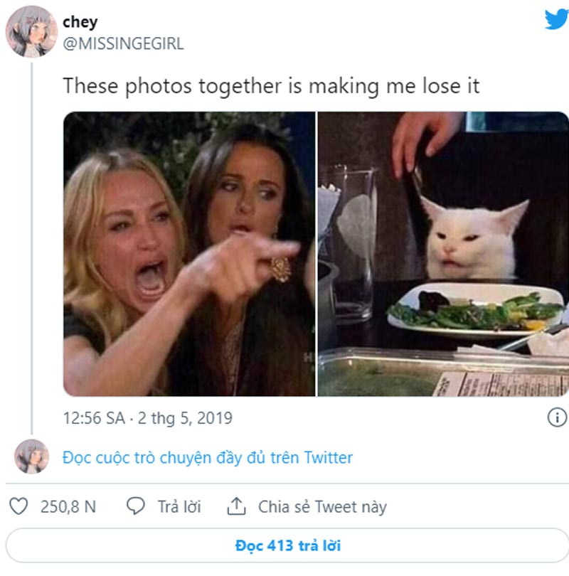 Meme woman yelling at a cat sau nhiều năm giờ ra sao? 1