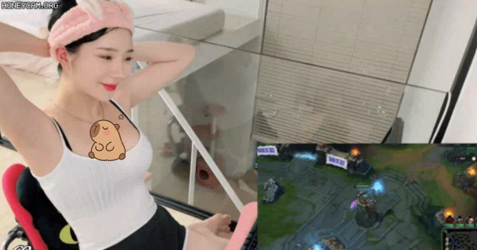 nu-streamer-1-2