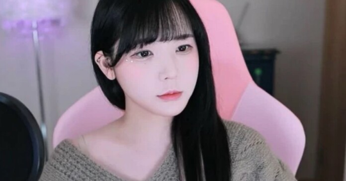 nữ streamer hàn quốc bị gạ gẫm làm sugar baby nữ streamer hàn quốc bị gạ gẫm làm sugar baby