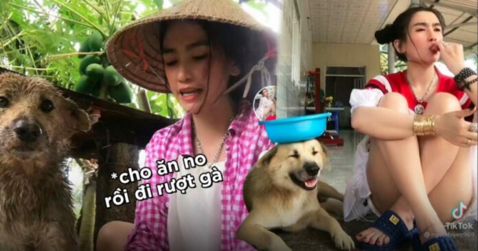 chu-cho-cu-toi-5 Chú chó Củ Tỏi vừa mất chưa bao lâu thì chủ nhân bay luôn kênh TikTok