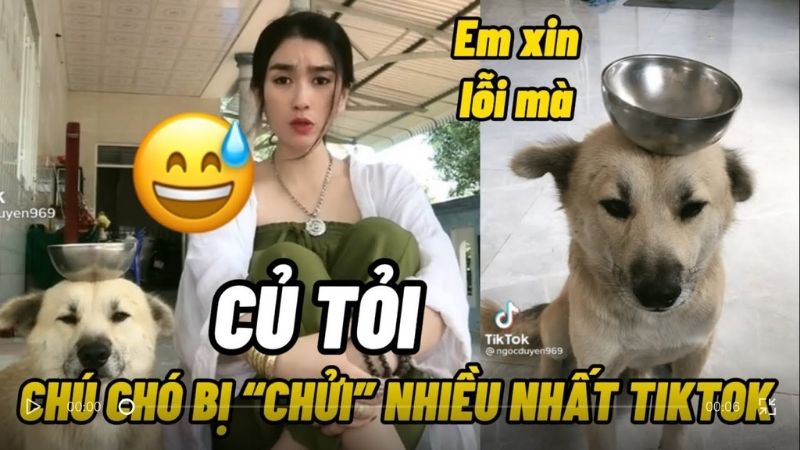 Chú thường hay bị hàng xóm sang quở trách