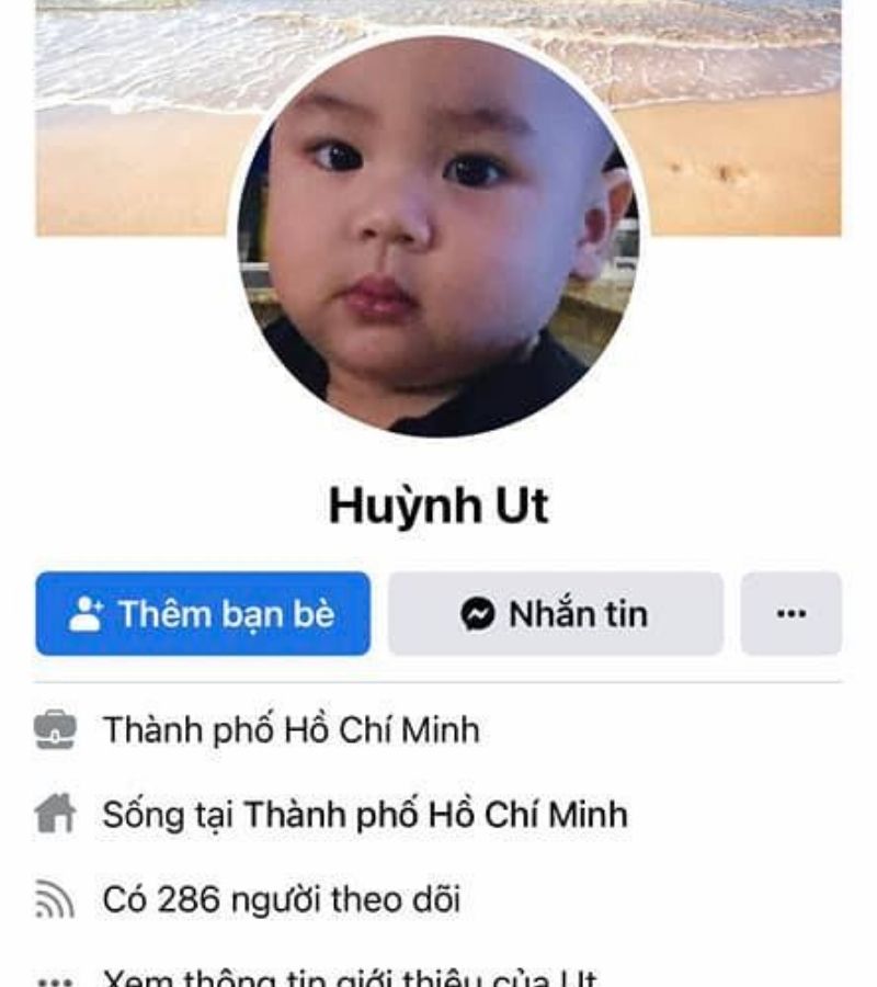 Tài khoản mxh của cô chủ chú chó