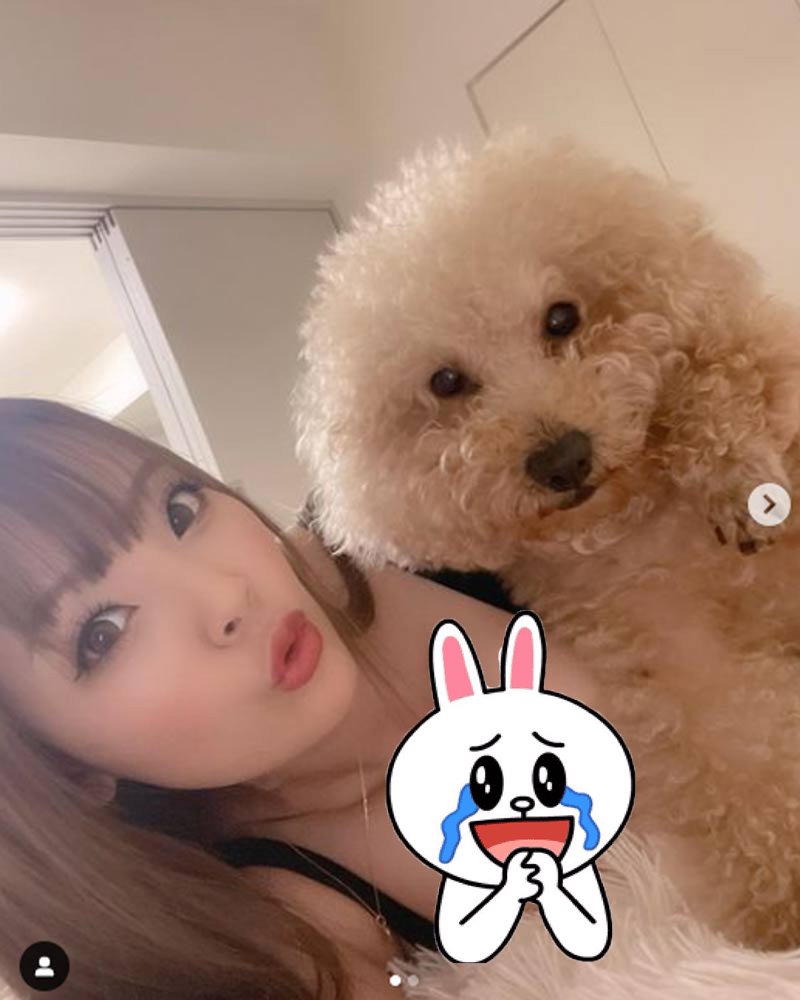 Hitomi Tanaka và vòng 1 size "ná thở" có 1 không 2 3