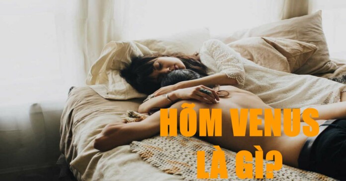hom-venus-05 Hõm Venus, hõm Apollo là gì mà khiến dân tình đua nhau lấy làm “tiêu chuẩn” để tìm người yêu?