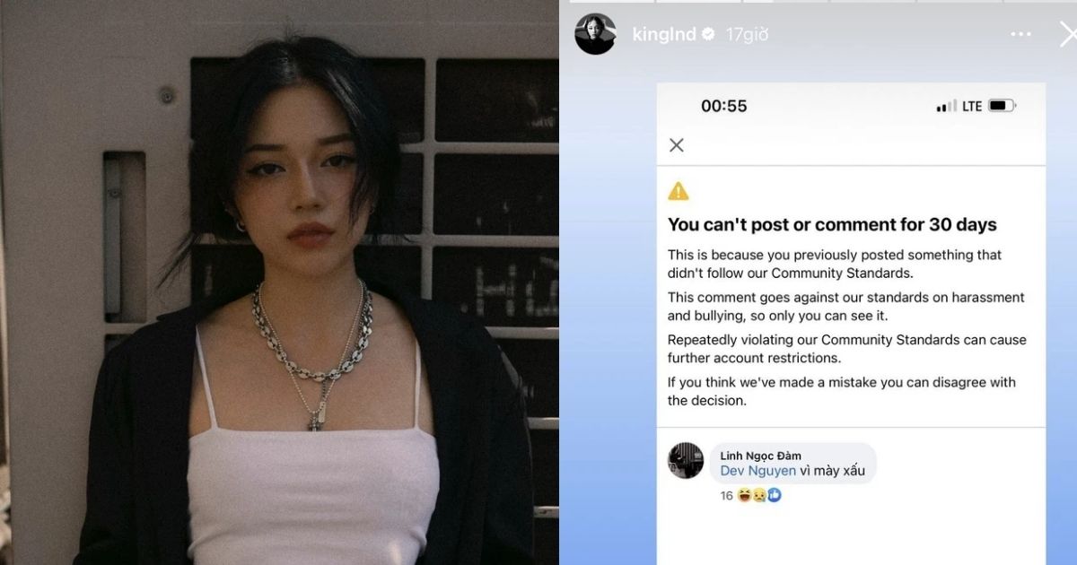 Linh Ngọc Đàm tiếp tục bị Facebook “khóa môi” 30 ngày