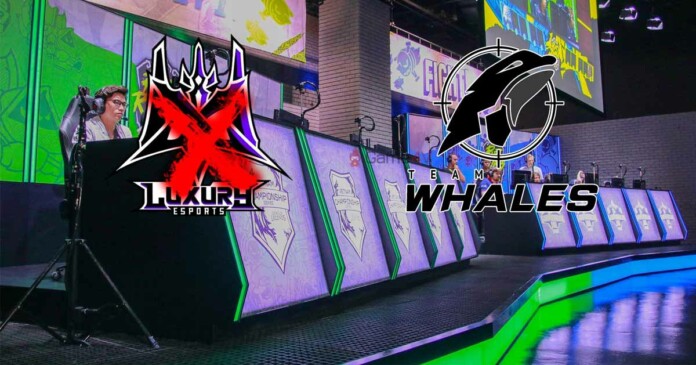 tin-tuc-lmht-team-whales-mua-xong-luxury-esports-3 Tin tức LMHT: Team Whales mua toàn bộ đội tuyển Luxury Esports