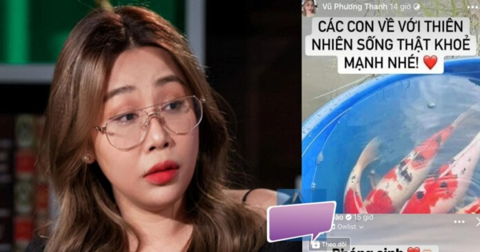 gao-11 Nhà văn Gào phóng sanh cá Koi gây tranh cãi