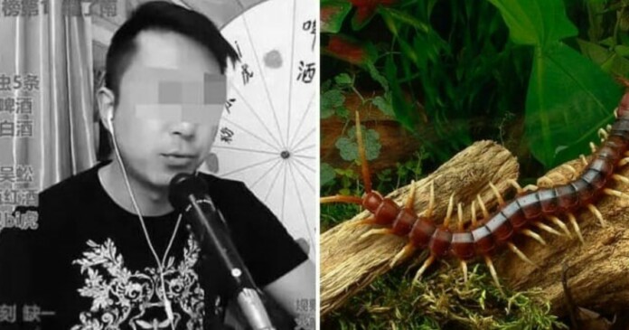 nam-streamer-tu-vong-sau-khi-livestream-an-ret-va-tac-ke-1 Nam streamer tử vong sau khi vừa livestream thử thách ăn rết và tắc kè