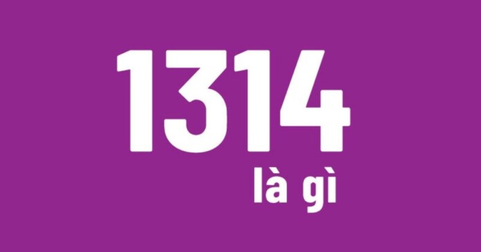 1314-06 1314 là gì? 1314 có ý nghĩa là gì trong tình yêu?