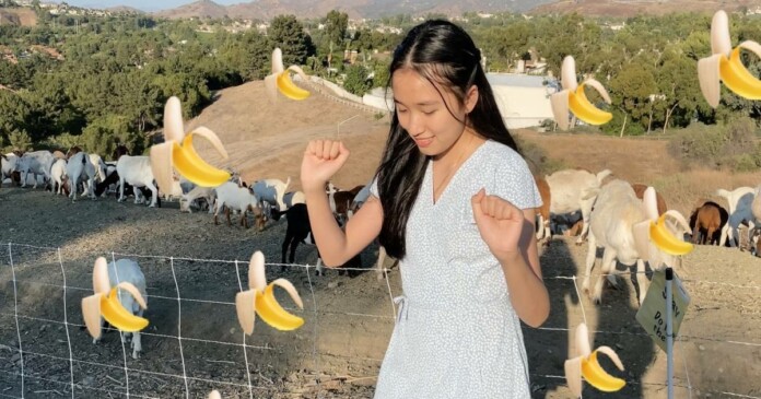 jenny-huynh-15 Jenny Huỳnh là ai, bóc phốt nữ Youtuber gen Z