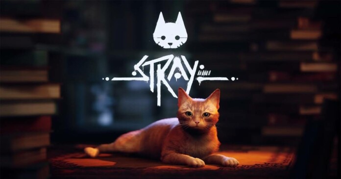stray-01 4 lý do khiến Stray nhận được yêu thích của cộng đồng game thủ
