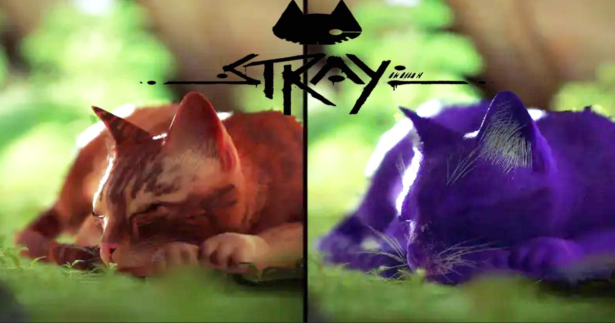Stray's Nexus Mods giúp sáng tạo mèo theo phong cách riêng