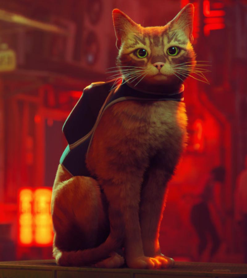 Stray's Nexus Mods cho phép người chơi tạo ra những chú mèo theo phong cách riêng