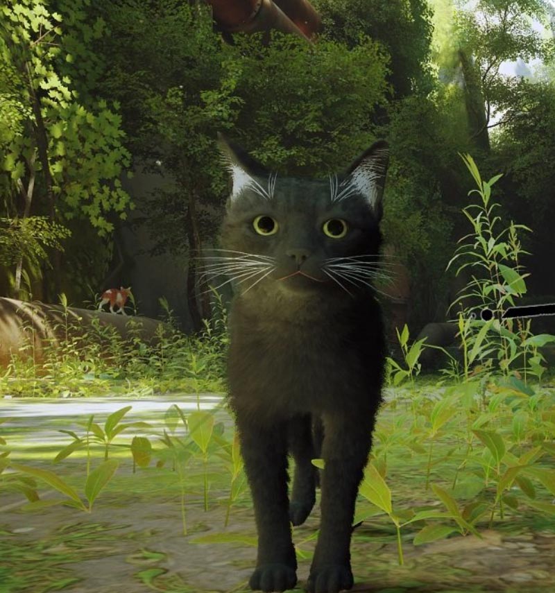 Stray's Nexus Mods cập nhật mới cho chú mèo lạc
