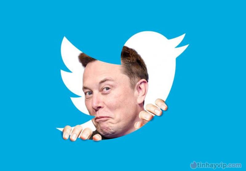 Twitter im lặng trước đơn kiện của Elon Musk