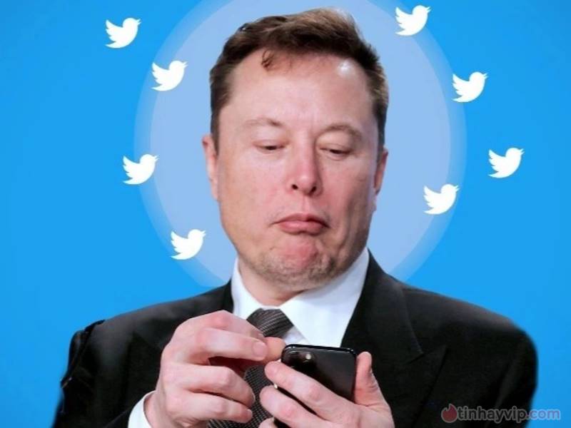 Twitter im lặng trước đơn kiện của Elon Musk