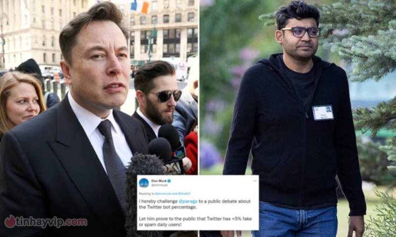Elon Musk sẵn sàng “cãi tay đôi” với CEO Twitter