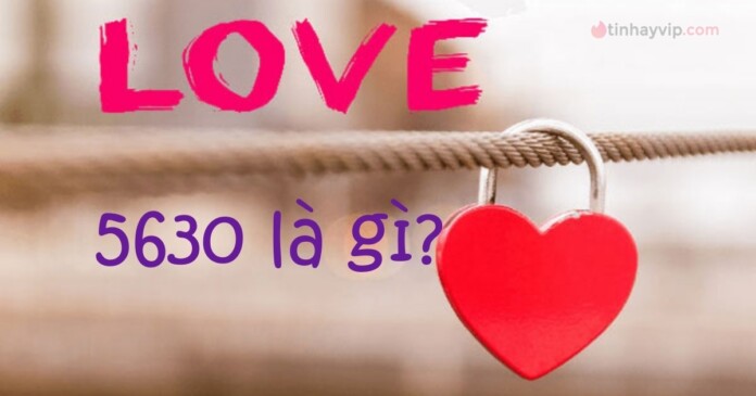5630-03 5630 là gì? Ý nghĩa mật mã 5630 trong tình yêu là gì?