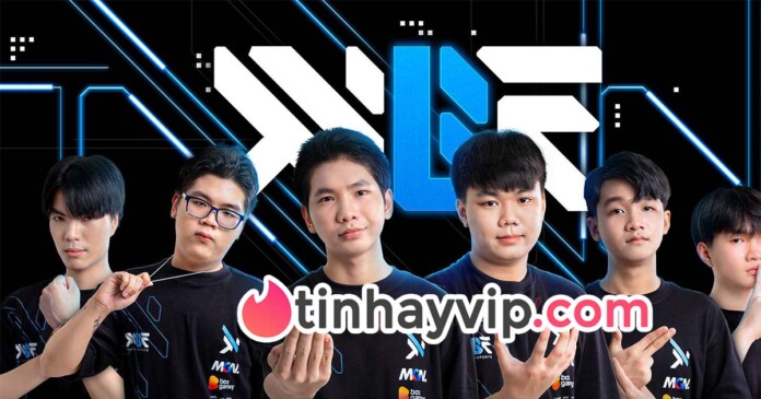 mgn-box-esports-chia-tay-asci MGN Box Esports chia tay ASCI 2022 ngay tại vòng bảng
