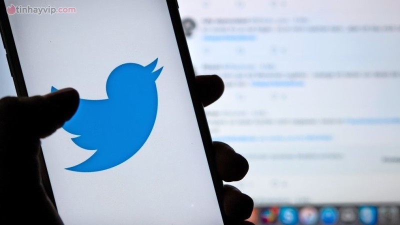 Dân mạng bình tĩnh trước tin Twitter và Meta thu phí