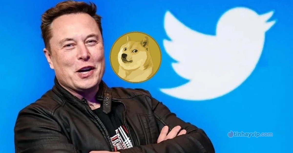 Dogecoin tăng giá sau khi Elon Musk sở hữu Twitter