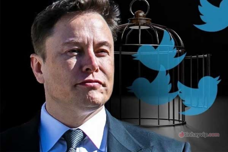 Elon Musk sẽ không làm chứng trong tuần này