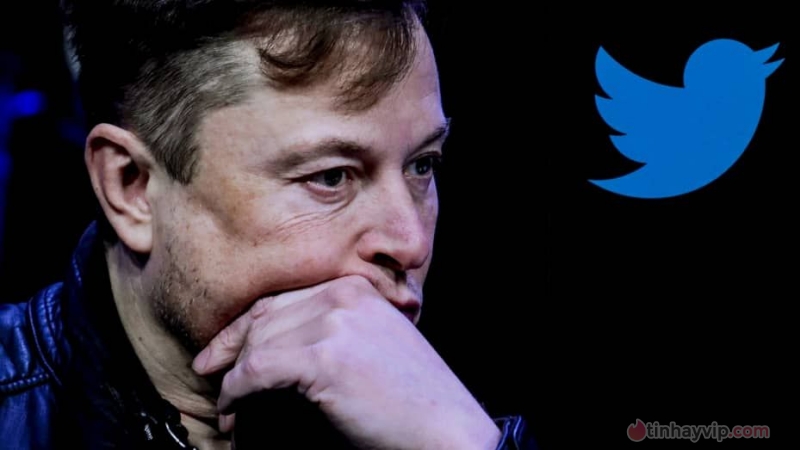 Elon Musk sẽ không ra điều trần trong tuần này