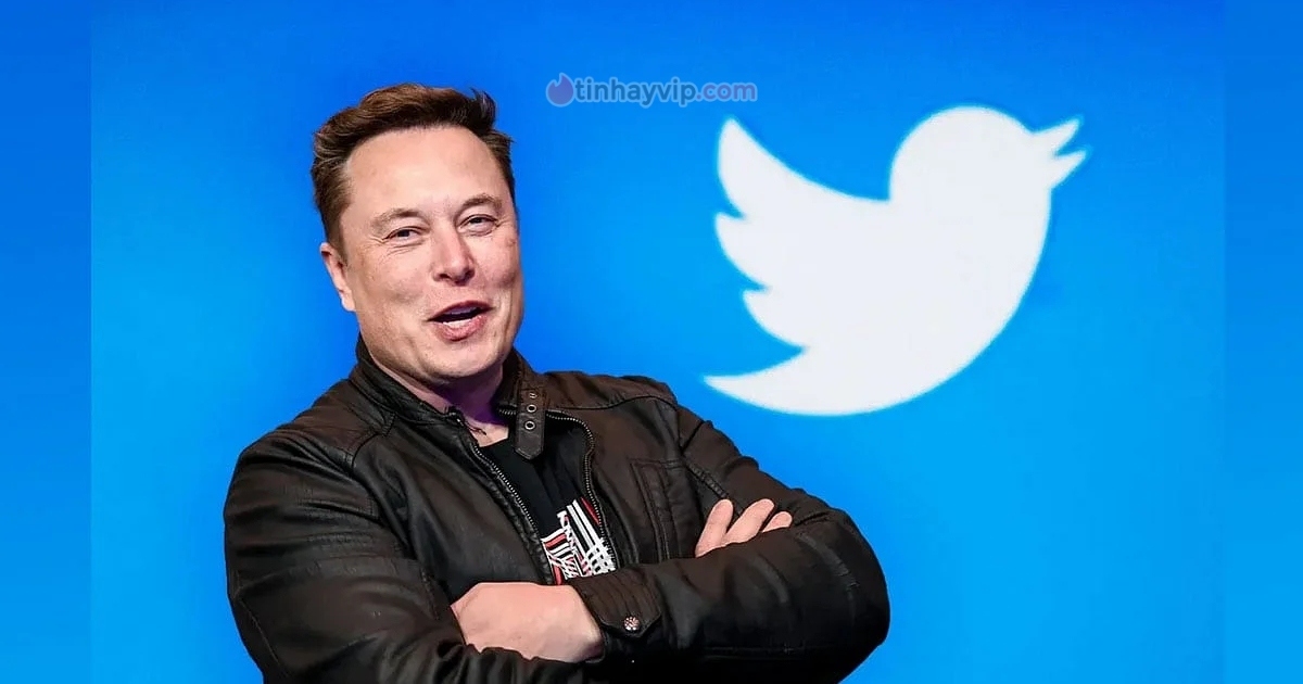 Elon Musk định đuổi việc 75% nhân viên của Twitter