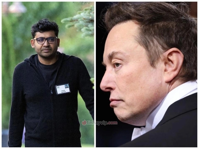 Dàn sếp của Twitter vừa bị Elon Musk sa thải là ai?