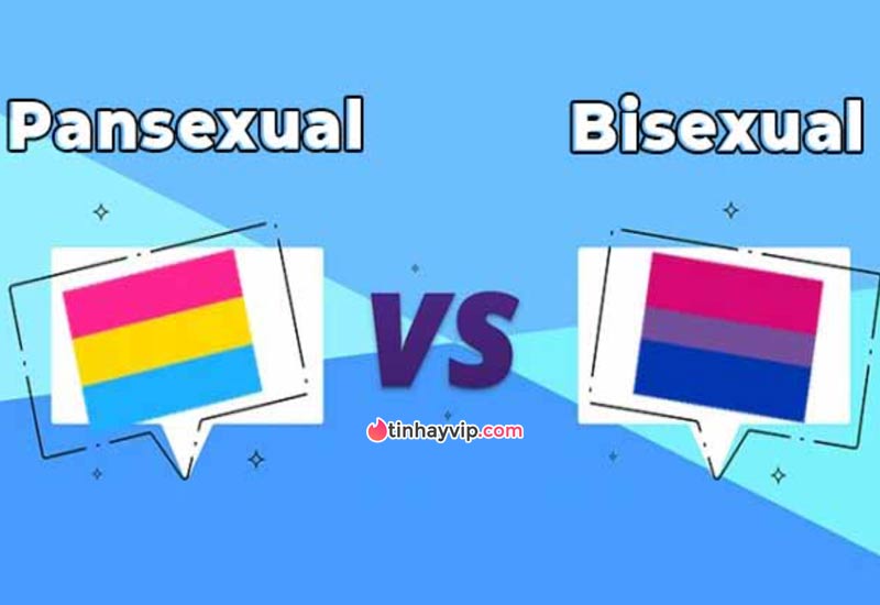 Bisexual khác Pansexual hoàn toàn
